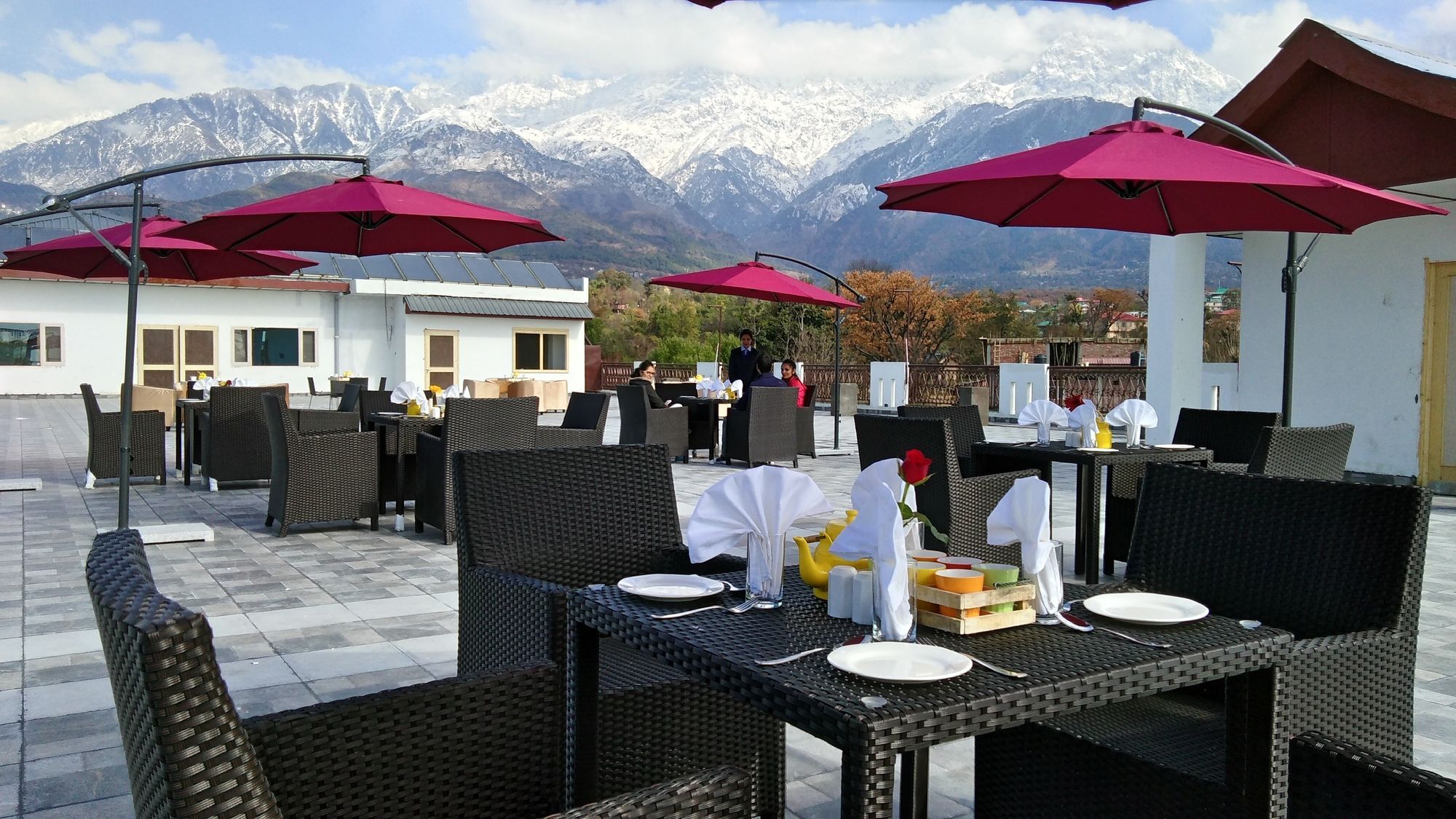 D'Polo Club & Spa Resort Dharamshala Exterior foto