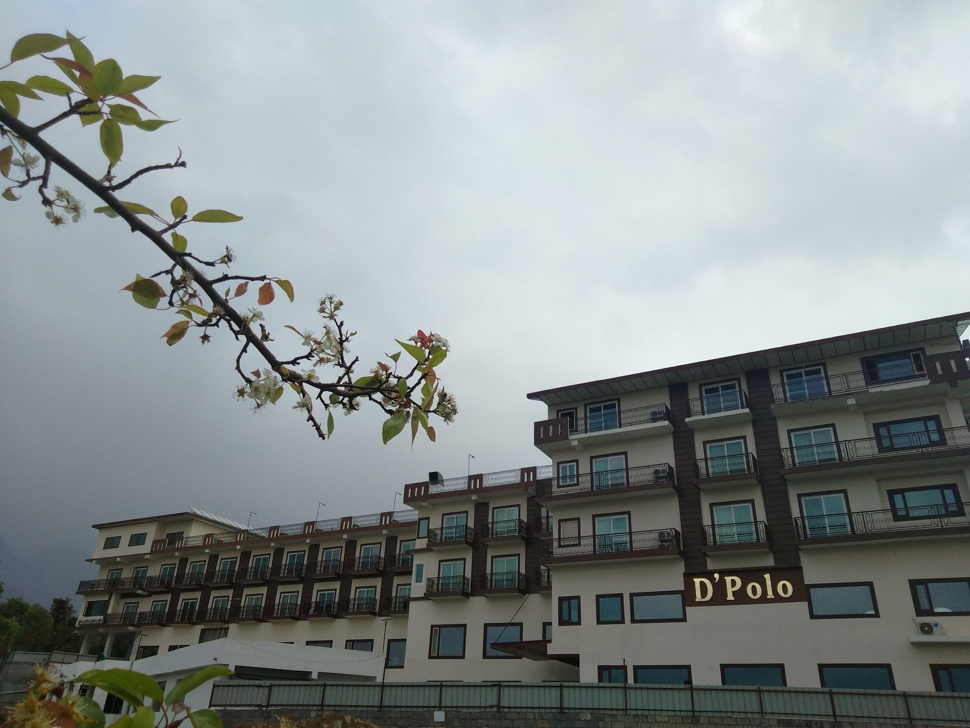 D'Polo Club & Spa Resort Dharamshala Exterior foto